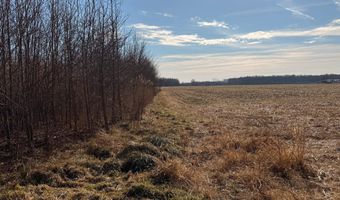 BLACK SWAMP ROAD, Felton, DE 19943