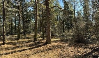 Bunting Drive, Bonanza, OR 97623