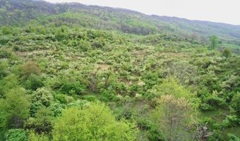 Tbd Clear Fork Creek Road, Bastian, VA 24314