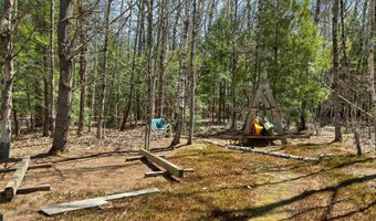 4 Colton Ln, Center Harbor, NH 03226