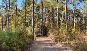 TBD Binnicker Bridge Road, Bamberg, SC 29003