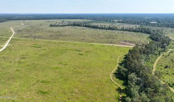 38774 S Mccarrol Rd, Amite, LA 70422