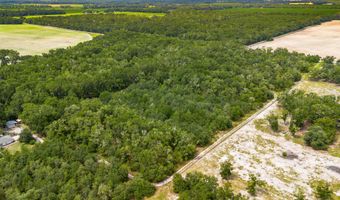 0 NW 40th Ave, Bell, FL 32619