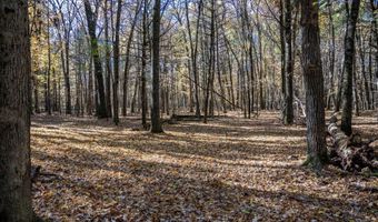 Lot 33 S Badger Lane, Arkdale, WI 54613