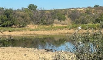 Tbd tbd, Albany, TX 76430