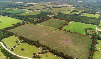 7009 129 Hwy, Bell, FL 32619