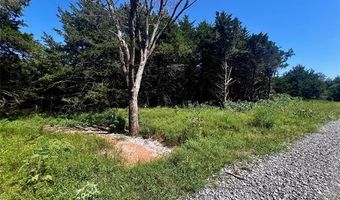9 Dynamite Rd, Agra, OK 74824
