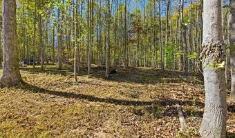 8000 Pembelton Dr, Amelia Court House, VA 23002