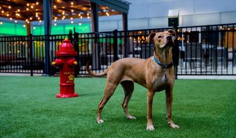 1900 ARCH St 1109, Philadelphia, PA 19103