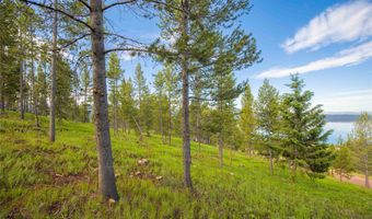 43 Elk Meadows Ln, Anaconda, MT 59711