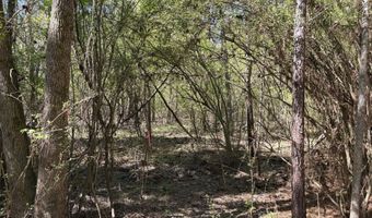 SW Auburn Drive, Bogue Chitto, MS 39629