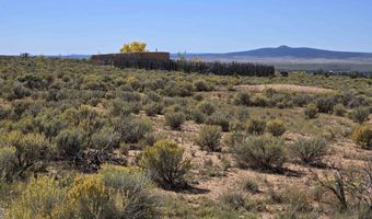 Tract 1 C Mesa Sea Road, Arroyo Hondo, NM 87513