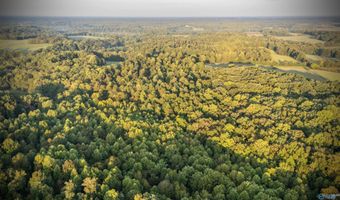 Tract 4 County Road 503, Anderson, AL 35610