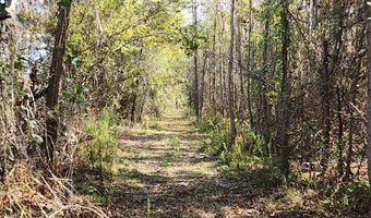 0 County Road 127, Banks, AL 36005