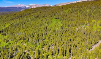 715 Lewsader Rd Lot 0, Alma, CO 80420