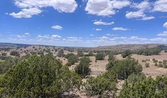 41 Indian Drive CR 8062, Concho, AZ 85924