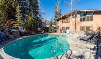 600 Carriage Way L17, Snowmass Village, CO 81615