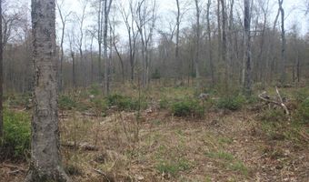 Nepaug Road, Burlington, CT 06013
