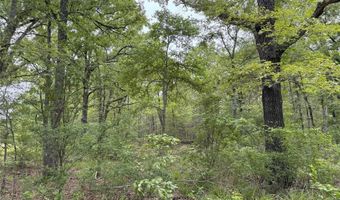 Lot 25 Rains County Road 2610, Alba, TX 75410