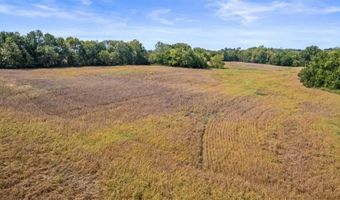 72 Acres S Cameron Rd, Archie, MO 64725