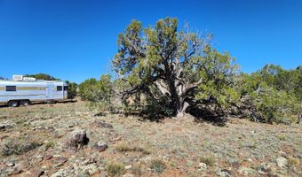 85 N 8522, Concho, AZ 85924