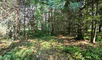 9537 LAKEVIEW, Alanson, MI 49706