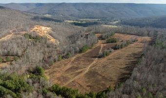 700 Acres Puncheon Creek Ln, Allred, TN 38542