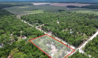 6489 11th Ave, Bell, FL 32619