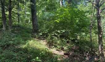 281 Scotts Branch Rd, Amherst, VA 24521
