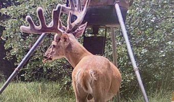 0000 Francis Rd, Francis, OK 74820