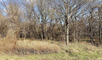 0002 CR-290, Asbury, MO 64832