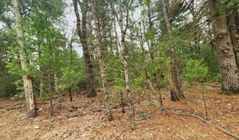 Dyke Avenue lot 8, Adams, WI 53910