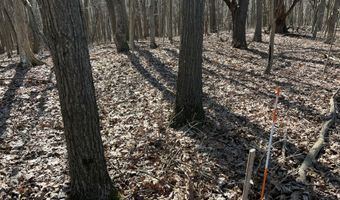 5725 Whitneyville Ave SE, Alto, MI 49302