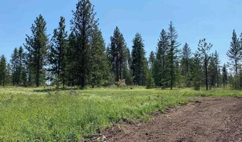 NNA Cloverland Road, Asotin, WA 99402