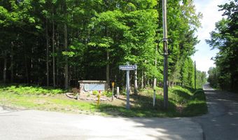 11190 Hassler Woods Trl, Alanson, MI 49706