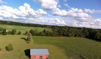 5559 SW 42ND Pl, Bell, FL 32619