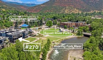 22860 Two Rivers Rd #270, Basalt, CO 81621