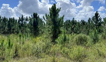 Lot 2 50th Ave, Bell, FL 32619