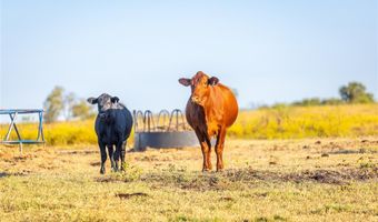 4045 County Road 212, Alvarado, TX 76009