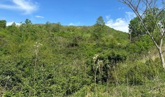 12 Acs Gidsville Rd, Amherst, VA 24521