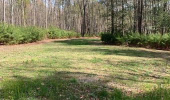 35038 PROMISED LAND Ln, Frankford, DE 19945