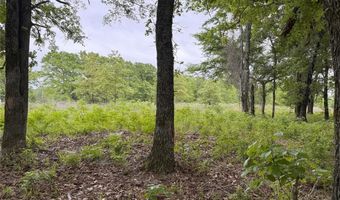 Lot 25 Rains County Road 2610, Alba, TX 75410