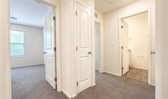 3730 Celesta Vista Ave, Henderson, NV 89044