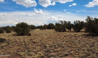 137 N5525, Concho, AZ 85924