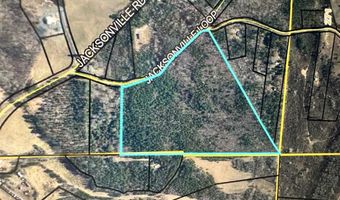 Jacksonville Loop, Tallapoosa, GA 30176