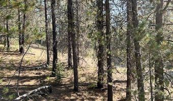 Tbd Sawtooth Loop, Cascade, ID 83611