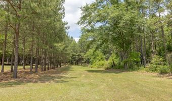 617 Barwick Rd, Ellaville, GA 31806