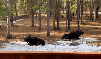 398 Mountain View Dr, Black Hawk, CO 80422
