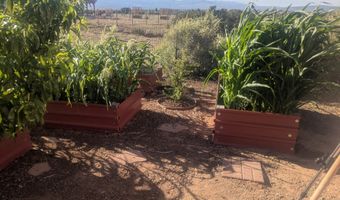 25 Arroyita, Algodones, NM 87001