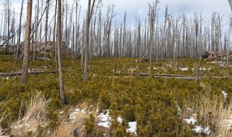 2025 Granite Rd, Bellvue, CO 80512